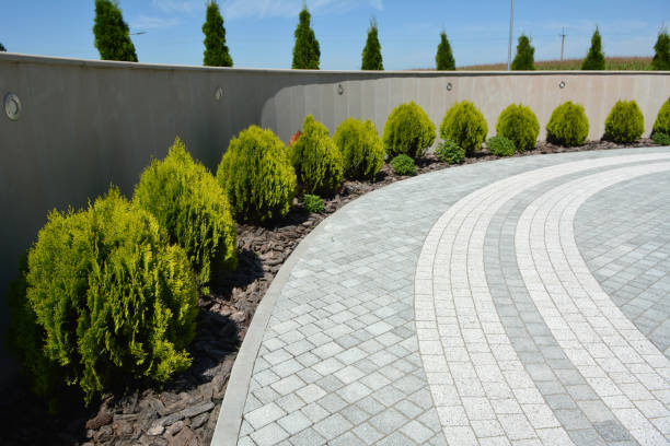 Best Driveway Paving Contractor  in Napavine, WA